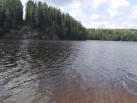 IMG_20250809_132246.jpg