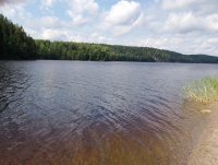IMG_20250809_132249.jpg