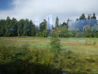 IMG_20250812_152642.jpg