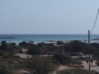 IMG_20250814_160855.jpg