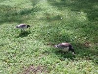 IMG_20250810_115125.jpg