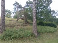 IMG_20250810_115547.jpg