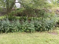 IMG_20250810_115640.jpg