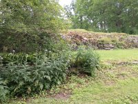 IMG_20250810_115642.jpg