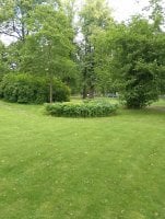 IMG_20250810_120335.jpg