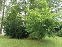 IMG_20250810_120349.jpg