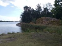 IMG_20250810_121609.jpg