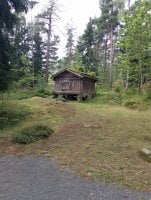 IMG_20250810_123619.jpg