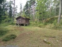 IMG_20250810_123623.jpg