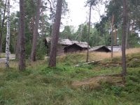 IMG_20250810_125539.jpg