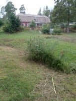 IMG_20250810_131409.jpg