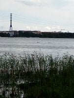IMG_20250810_131542.jpg