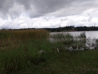 IMG_20250810_131550.jpg