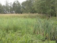 IMG_20250810_131555.jpg
