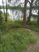 IMG_20250810_131957.jpg