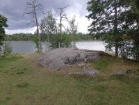 IMG_20250810_132201.jpg