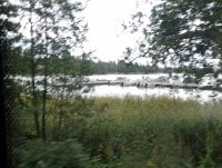 IMG_20250810_134331.jpg