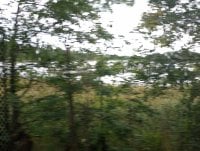 IMG_20250810_134333.jpg