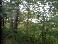 IMG_20250810_134339.jpg