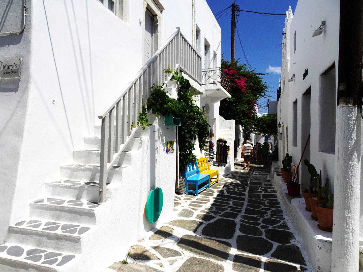 DSC07654.JPG