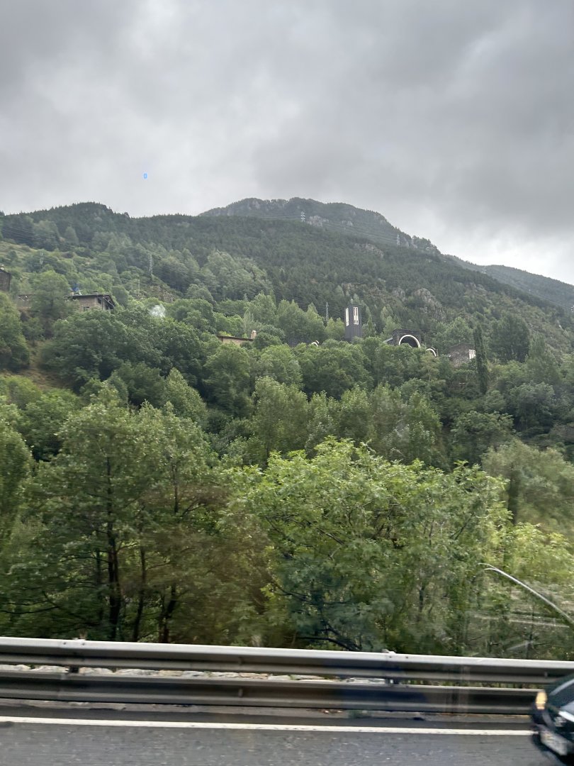 IMG_3704.jpeg