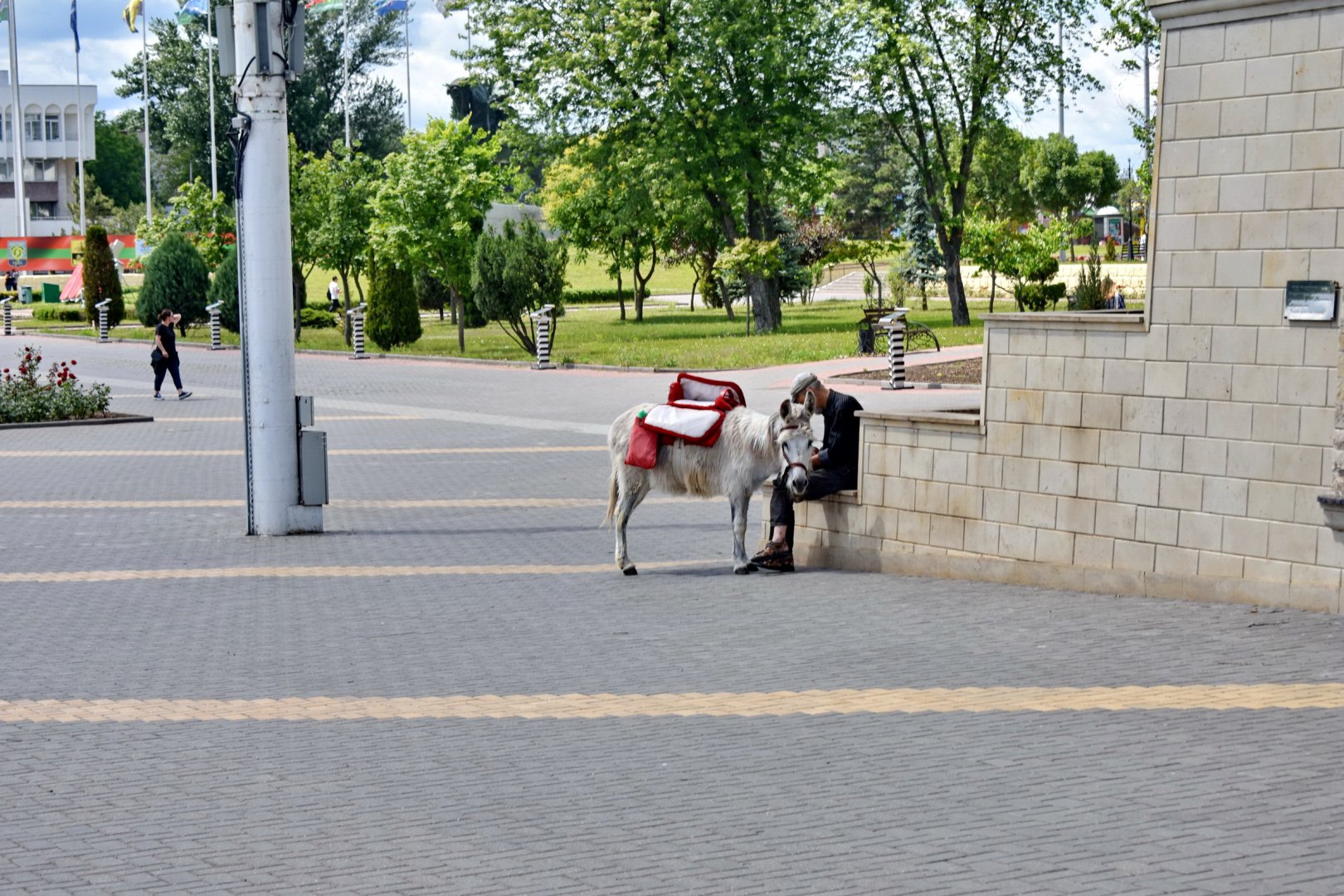 DSC_0447.JPG
