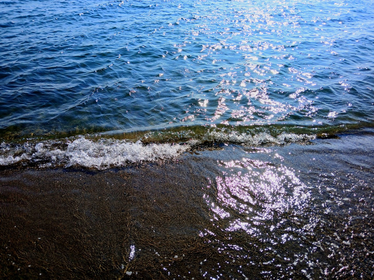20250824_094203.jpg