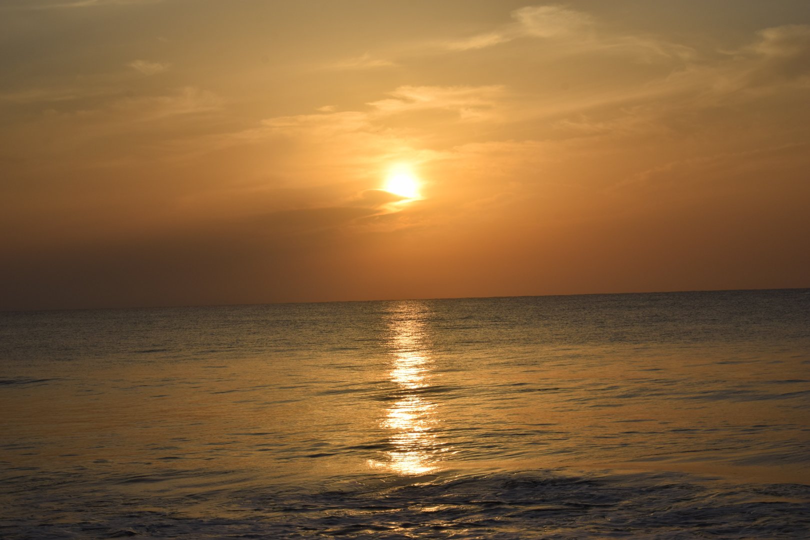 DSC_0338.JPG