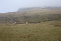 IMG_0134.JPG