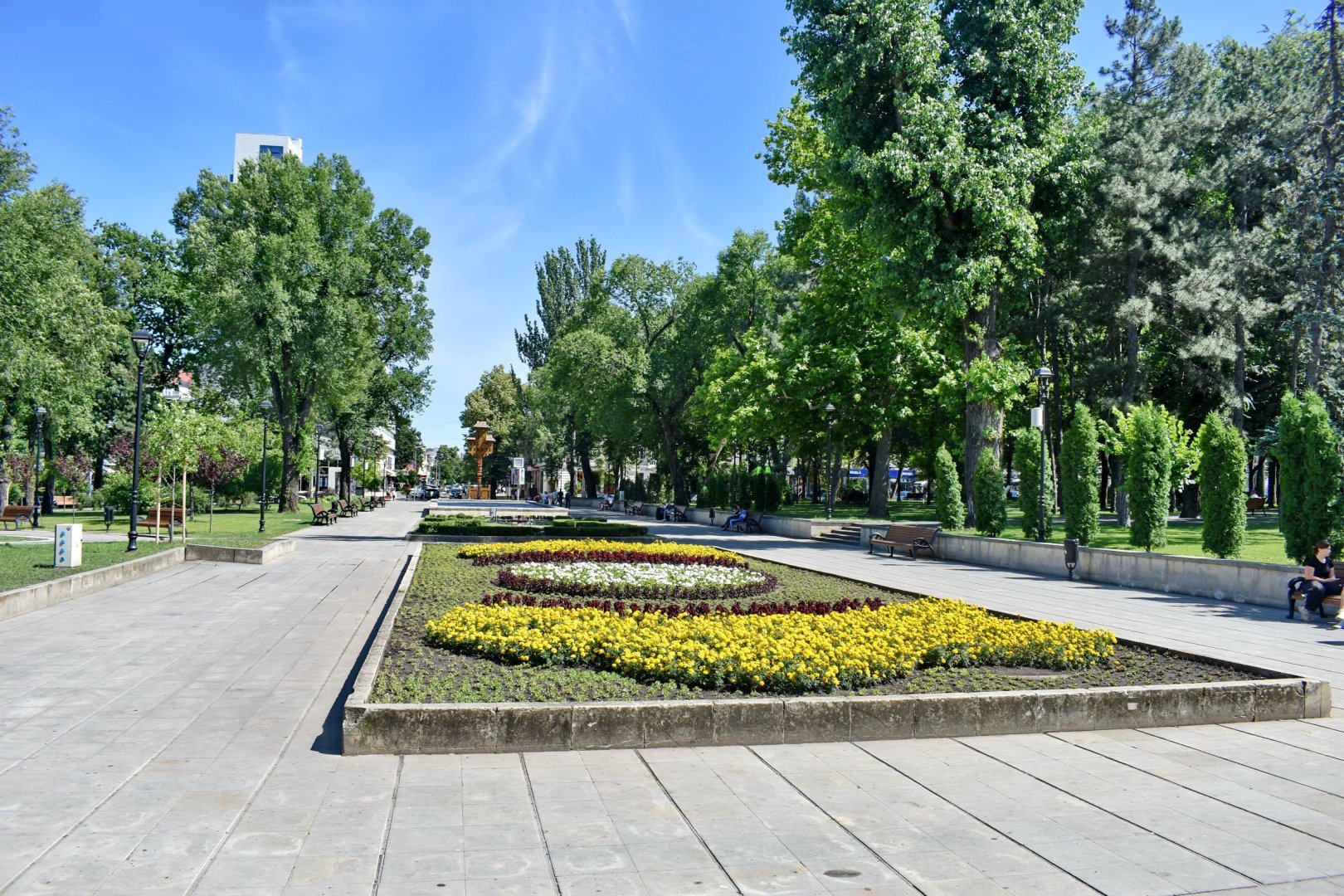DSC_0818.JPG