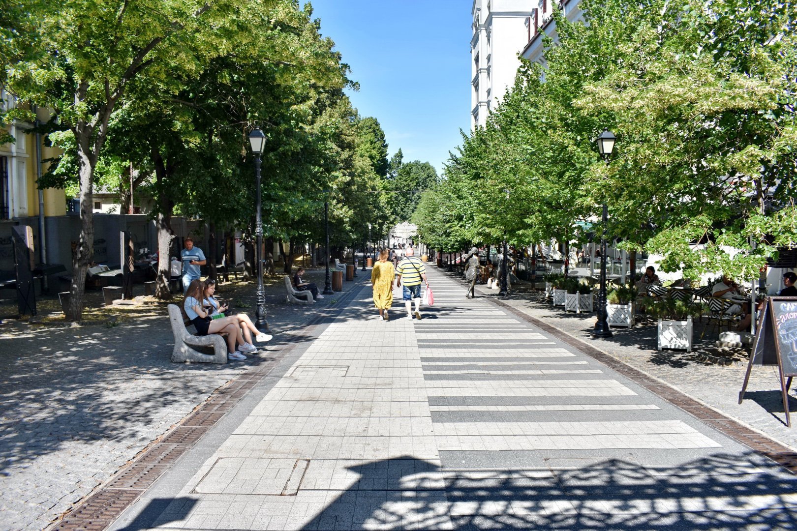 DSC_0823.JPG