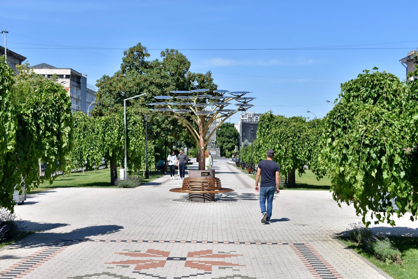 DSC_0831.JPG