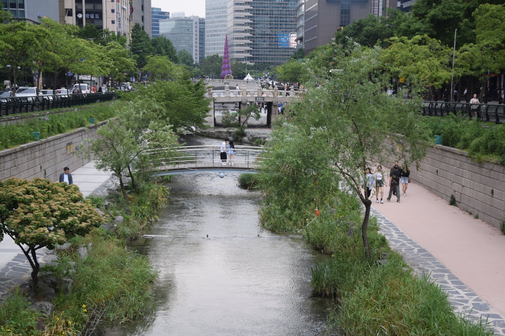 DSC_0247.JPG