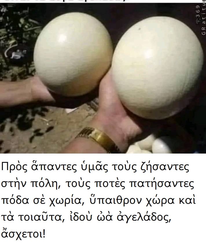 δ.jpg