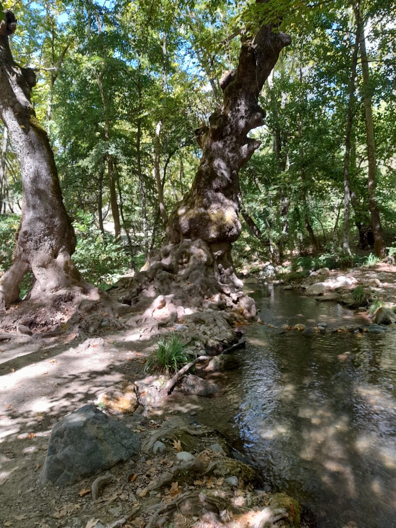 20250831_151611.jpg
