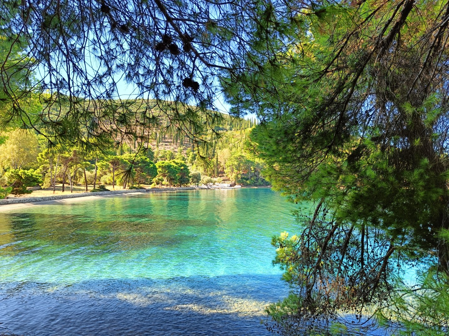 IMG20250902101121.jpg