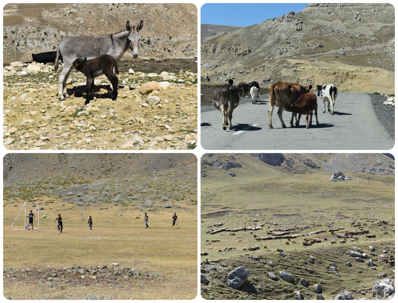 leavingkhinaliq1.jpg