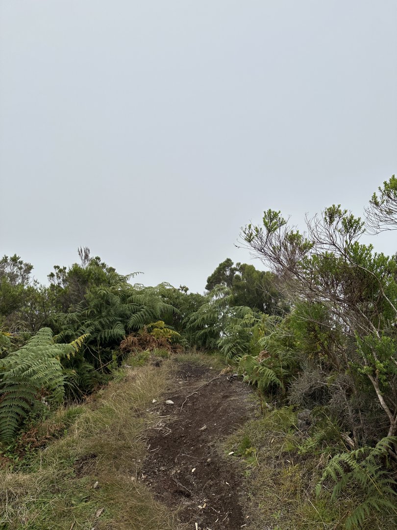 32b. Piton Marmite 2.JPG