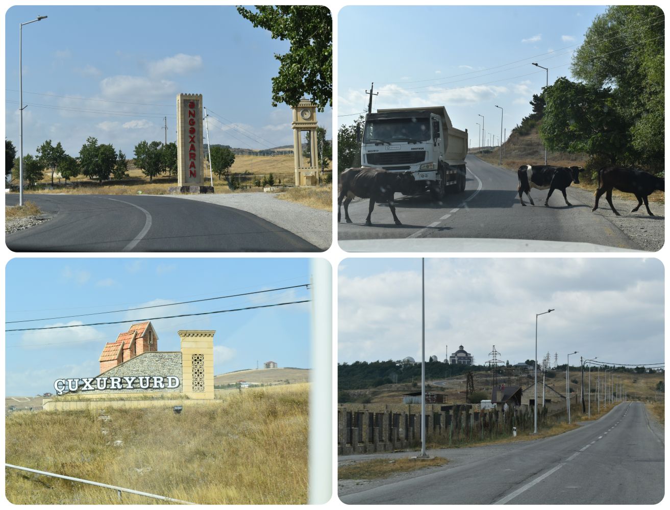 tosafaripark1.jpg