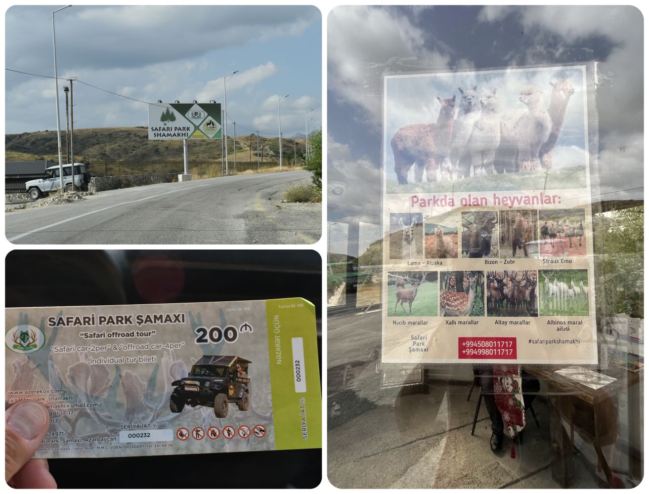 tosafaripark2.jpg