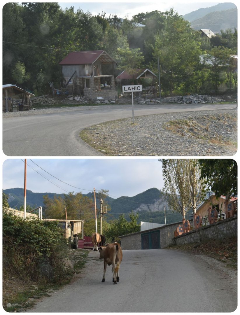lahic2.jpg