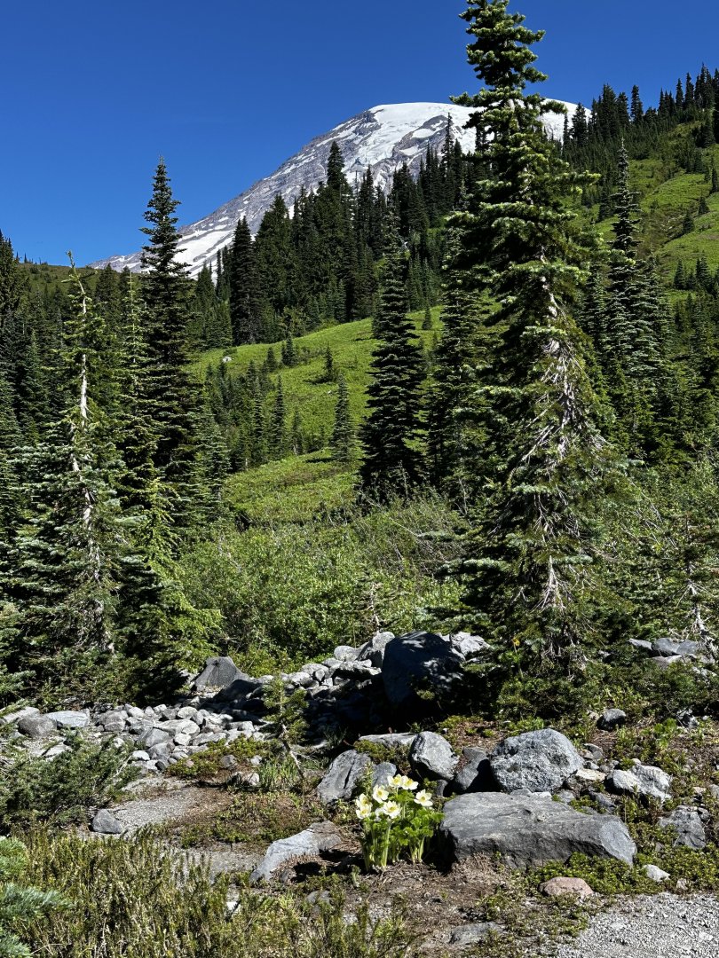IMG_7018.jpeg