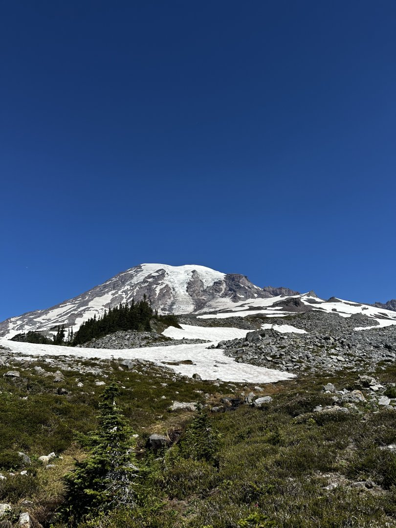 IMG_7028.jpeg