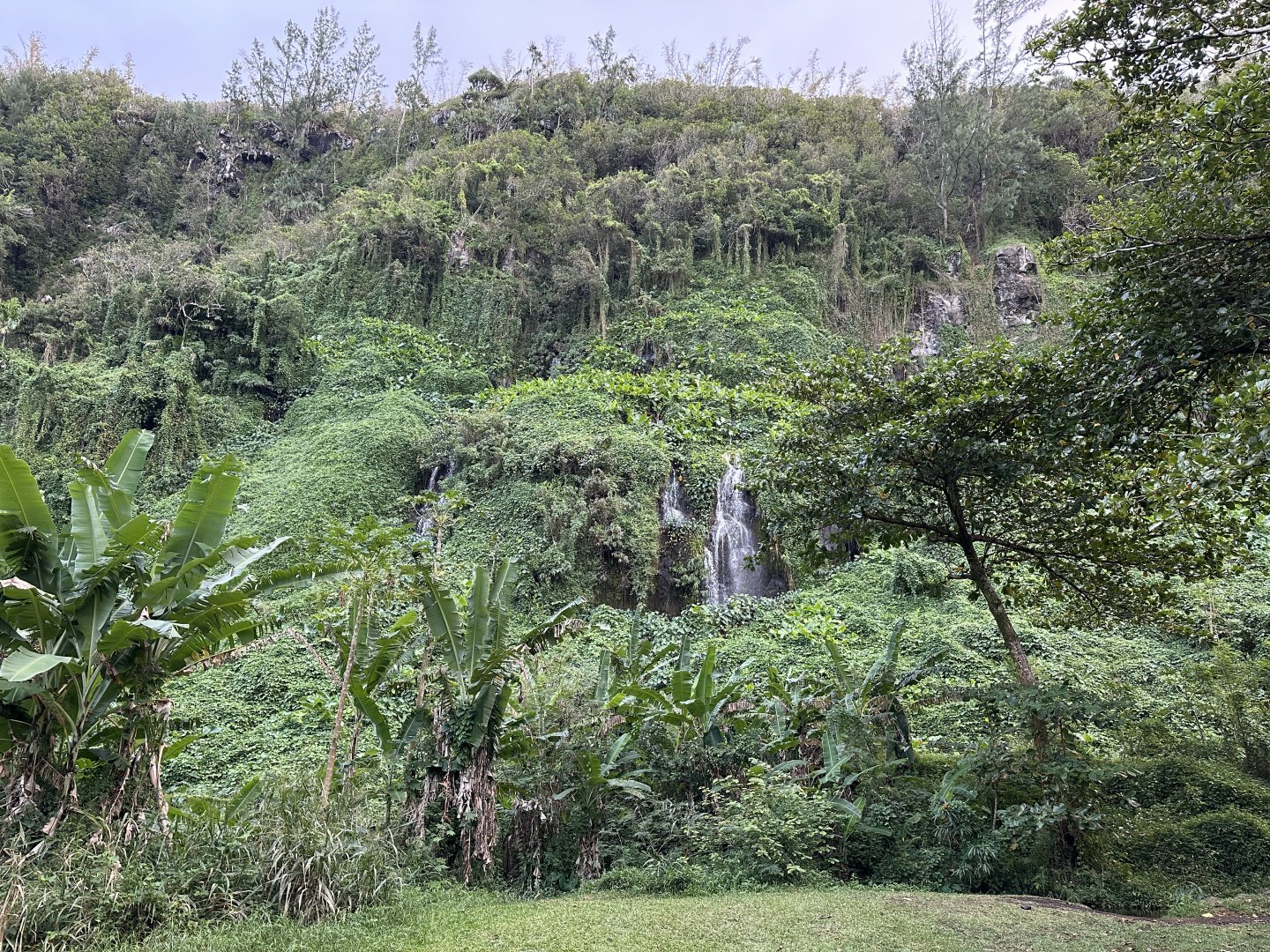64b. Anse Cascades 2.JPG