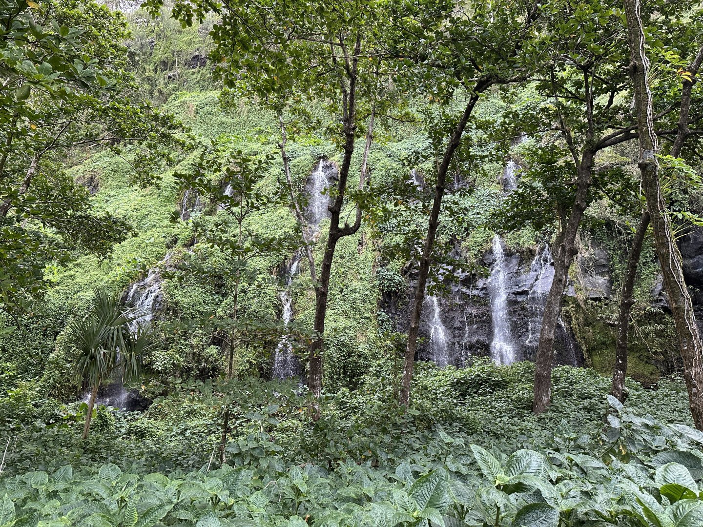 64c. Anse Cascades 3.JPG