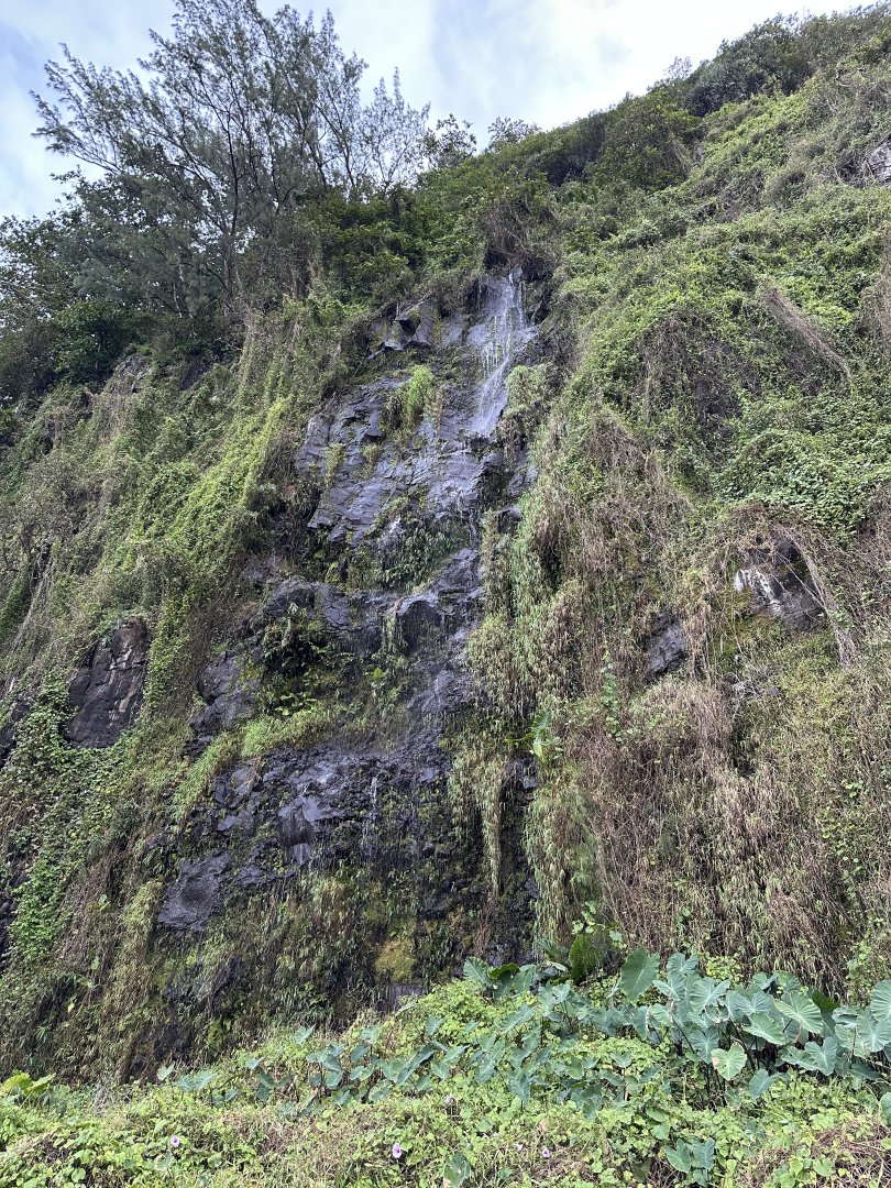 64f. Anse Cascades - Καταρράκτης Θάλασσας.JPG