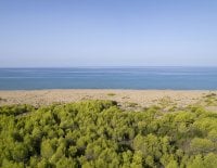 paralia_kaiafa_03.jpg