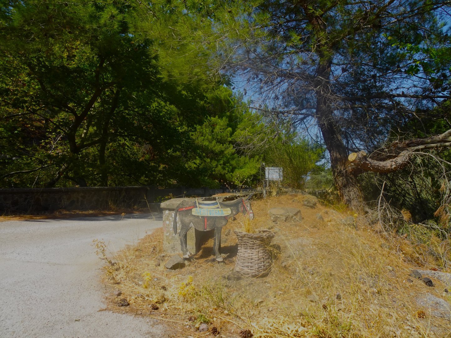 DSC07823.JPG