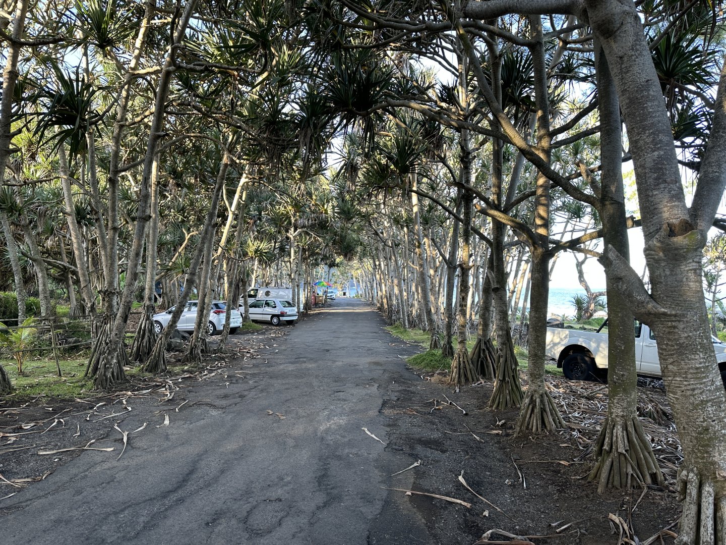 92. Vincendo - Rue de la Marine.JPG