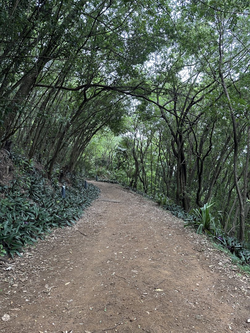 98a. Ανάβαση Piton Babet.JPG